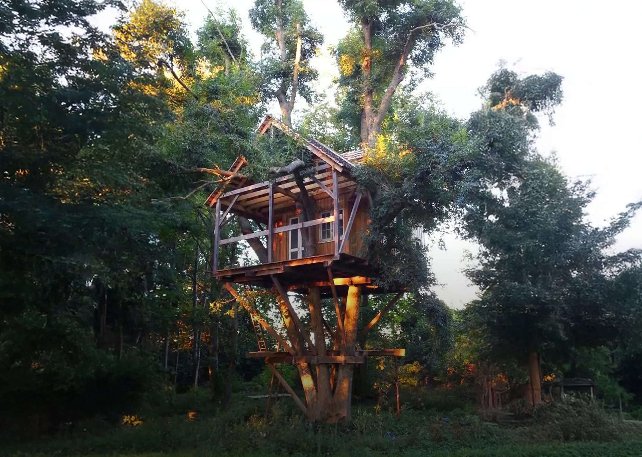 Bespoke treehouse renovation by Nicholas Aiden Developments